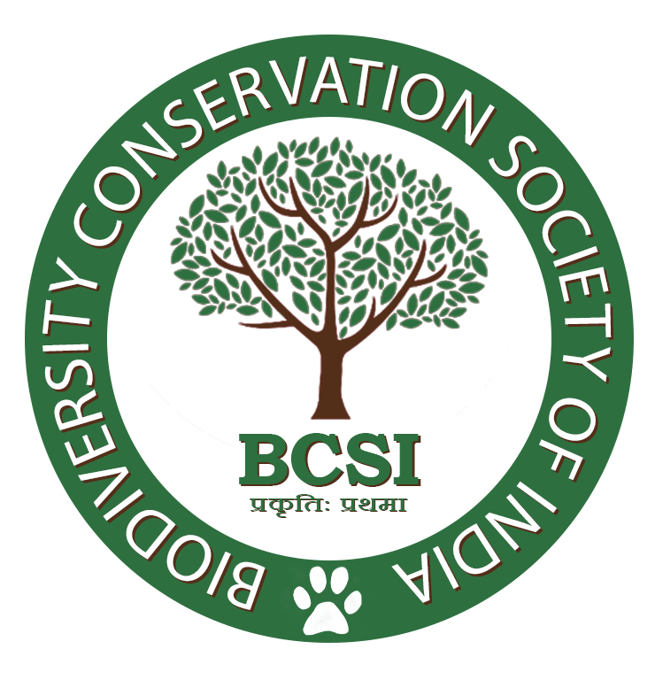 BCSI Logo